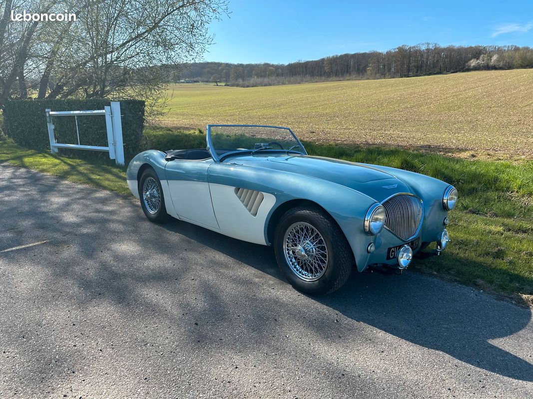 Austin healey BN2 (image 1)