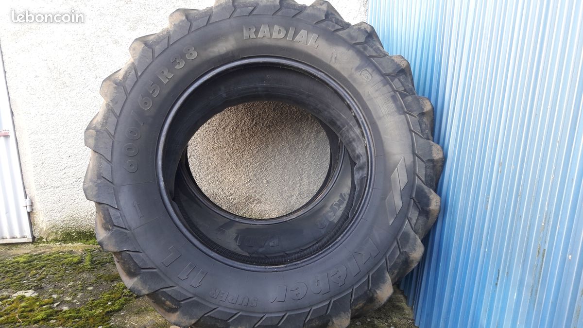 Pneus 600/65/38 (image 2)