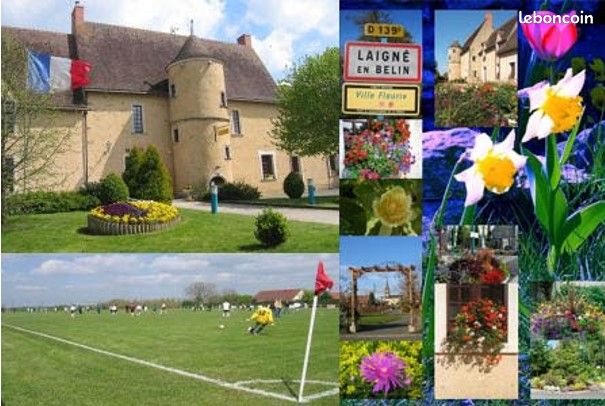 LAIGNE EN BELIN - Terrains libres de constructeur
