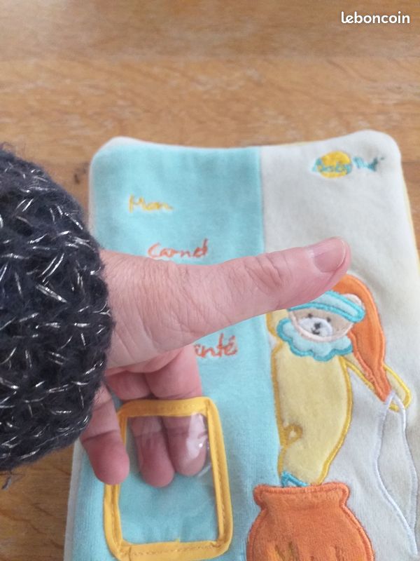 Protege carnet de sante (image 2)