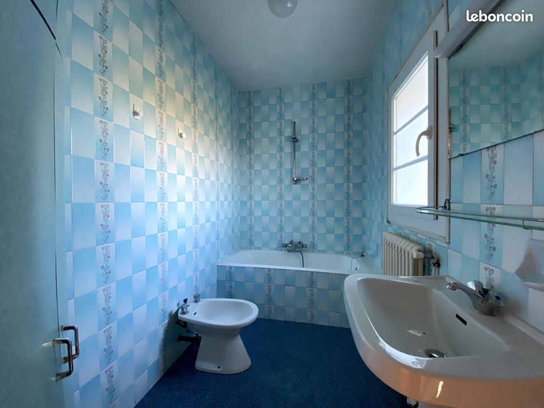 Maison 13 pièces 238 m² - Saint-Michel 16470 (image principale 11)
