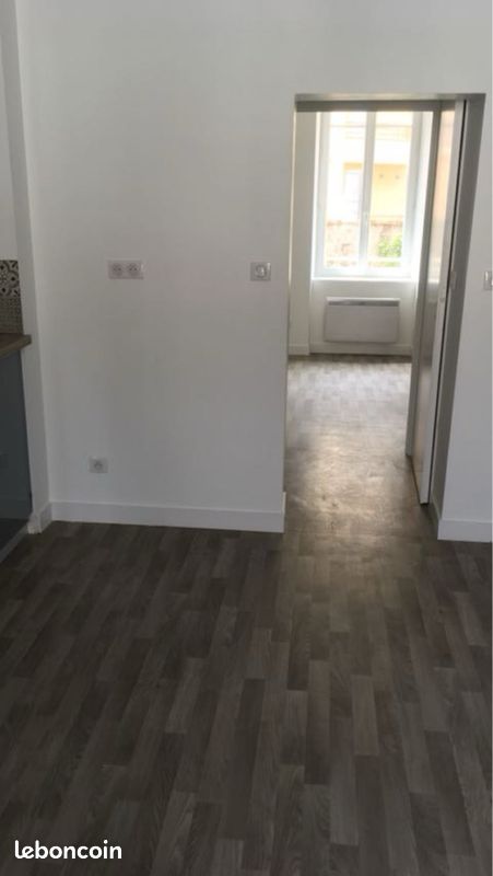 Apparemment T2 rénover à neuf - Limoges 87000 (image principale 1)