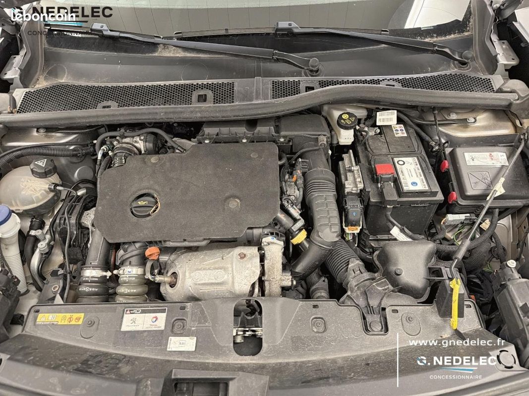 Peugeot 2008 1.5 BlueHDi 130ch S&S Active Business EAT8 (image 12)