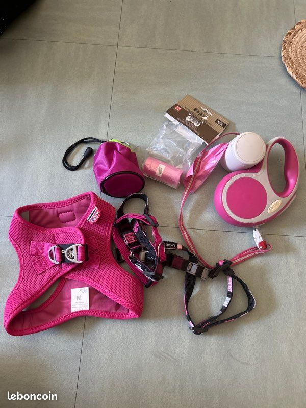 Lot d’accessoires (laisse, sacs à crotte et collier) (image 1)