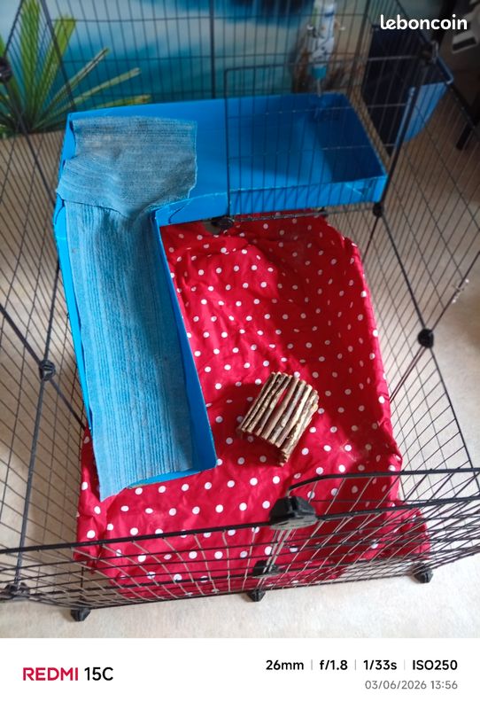 2 cages : 1 Parc double pour cochons d'inde ou lapins nains 50 / 1 écureuils ou volière 30 (image 2)