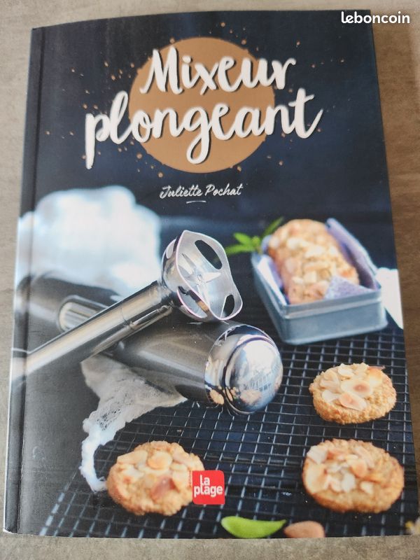 Mixeur plongeant juliette pochat (image 1)