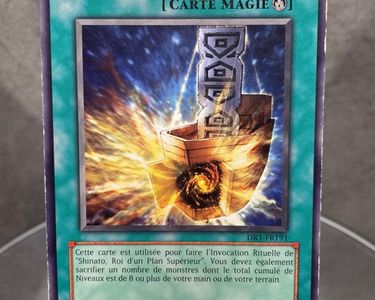Carte YuGiOh Arche de Shinato  Commune  DR1FR191  Bon tat -  Collection
