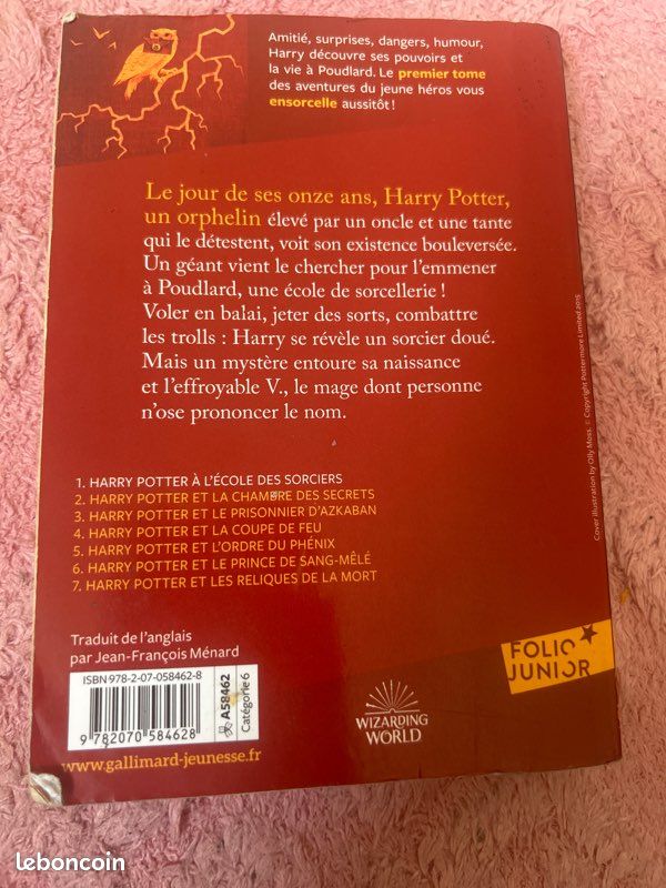 Harry Potter à l’école des sorciers (image 3)