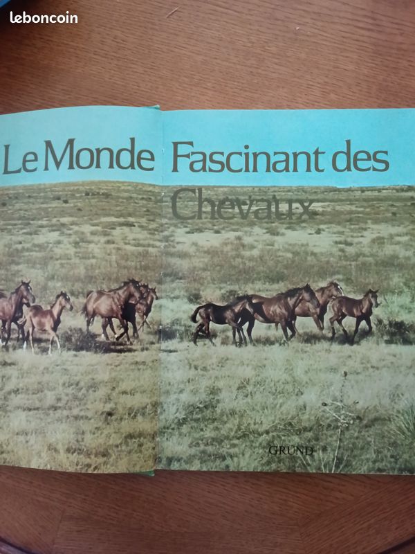 Livre sur les chevaux (image 2)