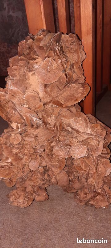 Rose des sables geante (image 3)