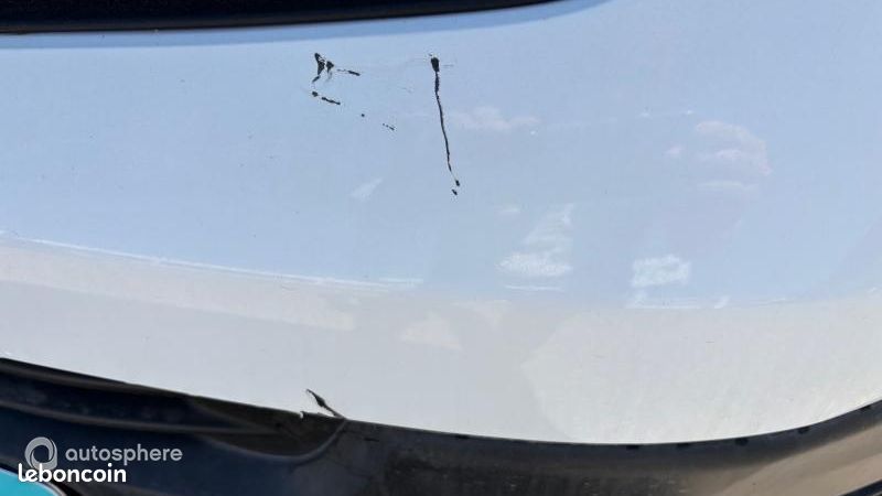 Opel Vivaro Véhicule utilitaire ou Société L1 Standard 1.5 D 120ch Pack Business (image 17)