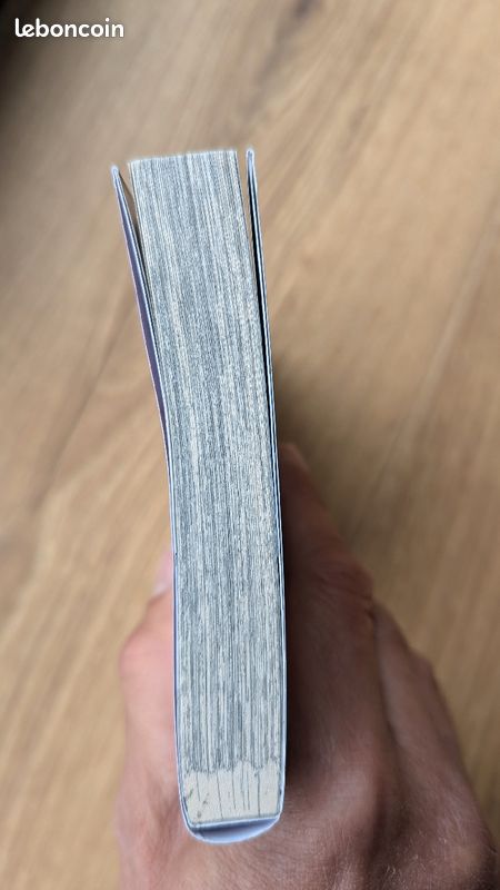 Demon slayer - tome 2 (image 4)