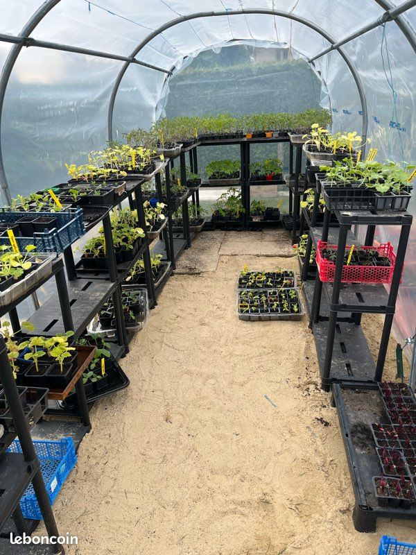 Vente de plan de légumes Vide maison (image 1)