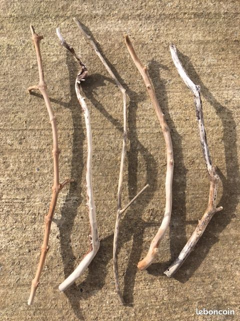 Lot de 5 branches torsadées de Bois Flotté - Décoration, Création, Aquarium ou Macramé (image 2)