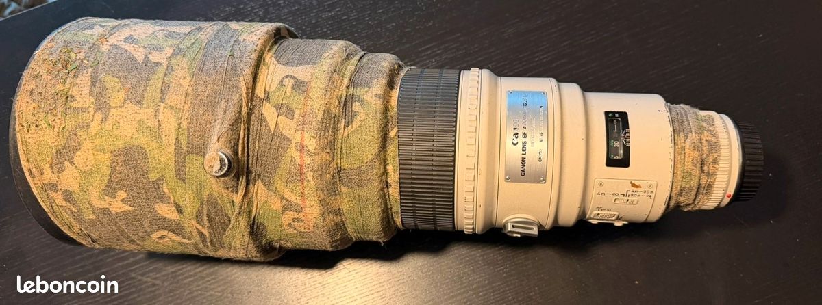Canon EF Téléobjectif 400 mm f/2.8 L (image 2)