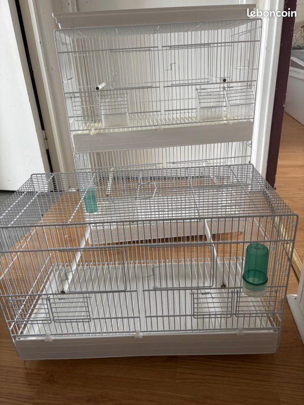 Cages d élevage (image 1)