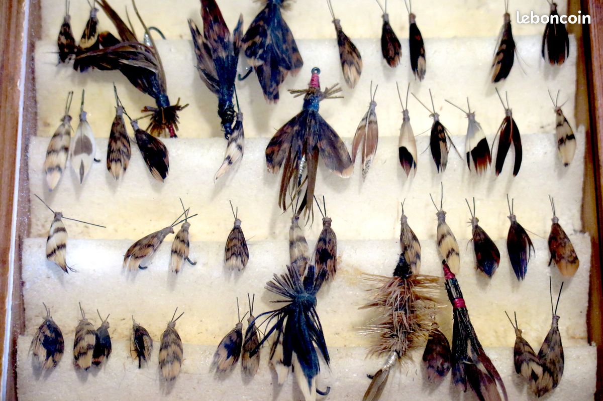 LOT DE LEURRES de pêche à la mouche sèche 10 pièces imitation