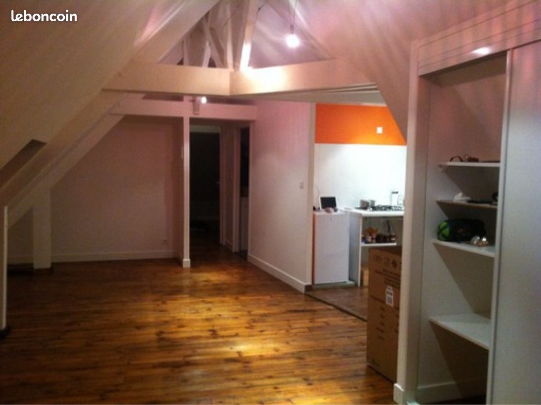 Appartement de charme, plein centre - Brive-la-Gaillarde 19100 (image principale 0)
