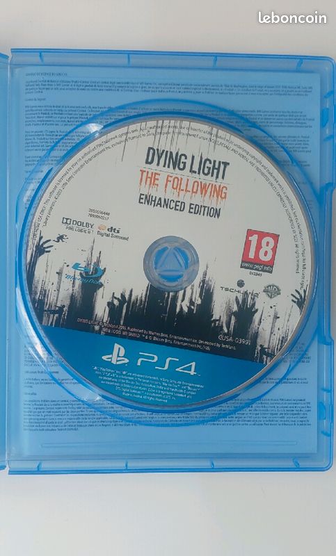 Dying light the following (image 3)