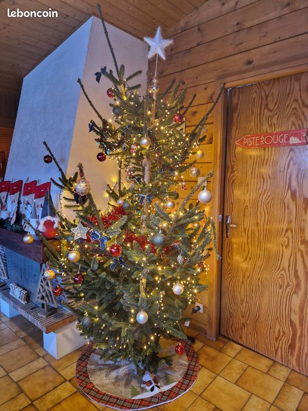Location Chalet Le Brimbellier à La Bresse (image 18)