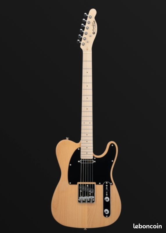Guitare style Telecaster Prodipe (image 1)