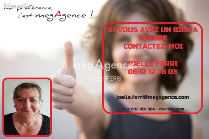 https://img.leboncoin.fr/api/v1/lbcpb1/images/6b/a7/90/6ba790a1415ced0b0f0aff643af4e40f18fa8f0a.jpg?rule=ad-image