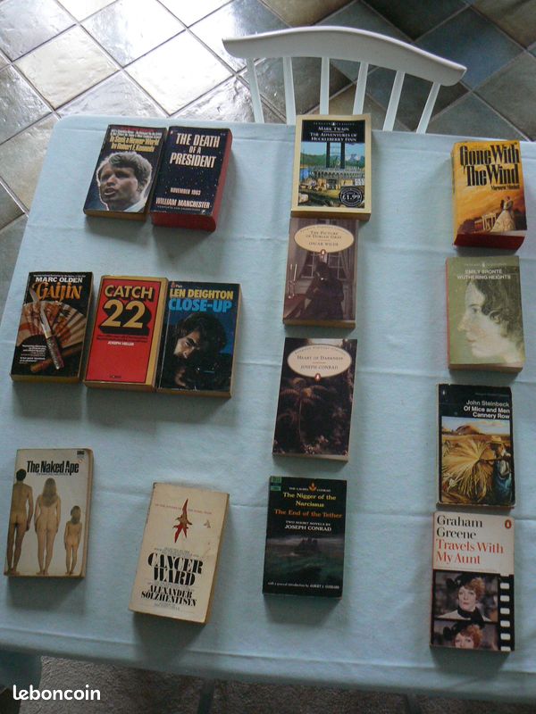 Cancer Ward x Alexander Solzhenitsyn (le pavillon des cancéreux) (image 6)