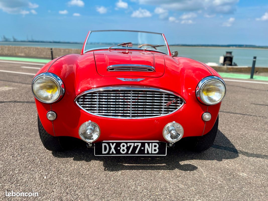 Austin Healey BN4 100/6 - 1958 (image 2)