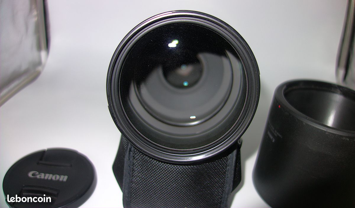 CANON RF200-800 mm F6.3-9 IS USM (image 6)