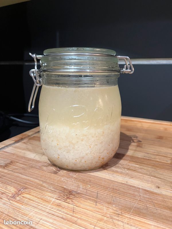 Don de kefir (image 1)