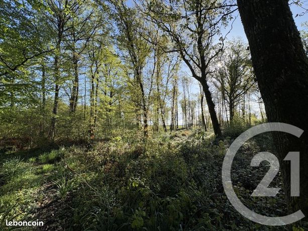 Terrain 37 340 m² Chasseneuil
