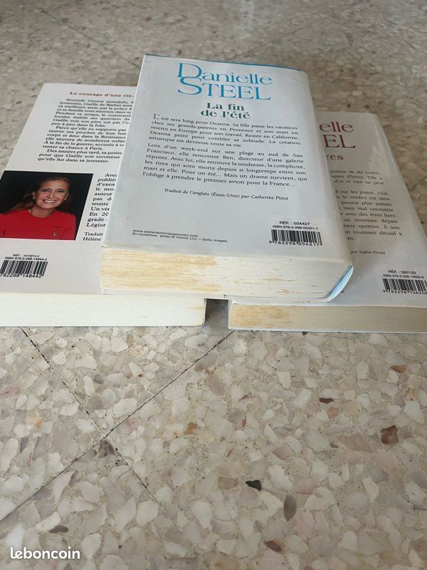 Roman de Danielle Steel (image 3)