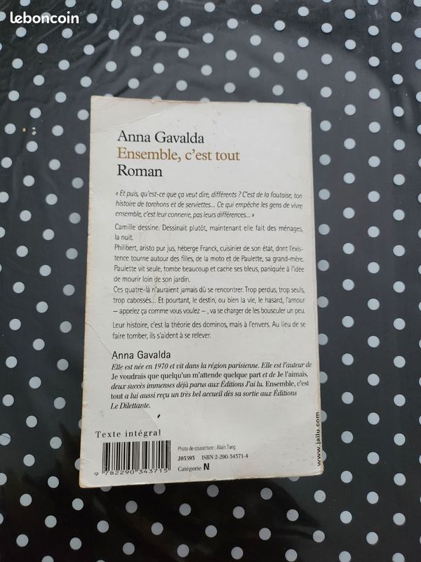 Livre Ensemble, c'est tout. Anna Gavalda (image 2)