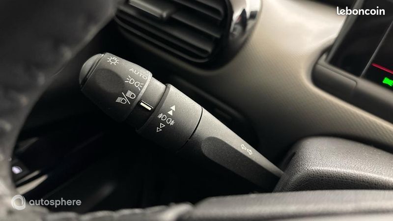 Citroen C4 Cactus BlueHDi 100ch S&S Feel Business E6.d-TEMP (image 23)