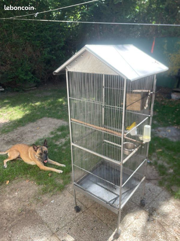 Cage à oiseaux (image 2)