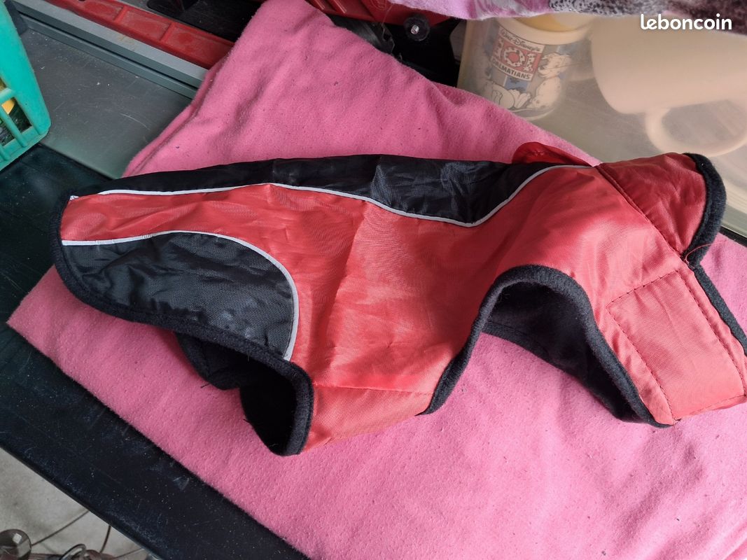 Manteau chien (image 3)