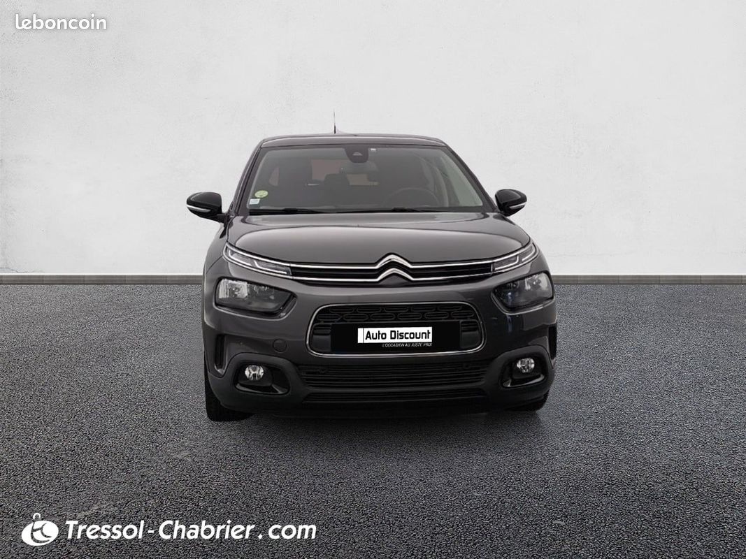 CITROEN C4 Cactus BlueHDi 100 S&S BVM6 Shine (image 29)