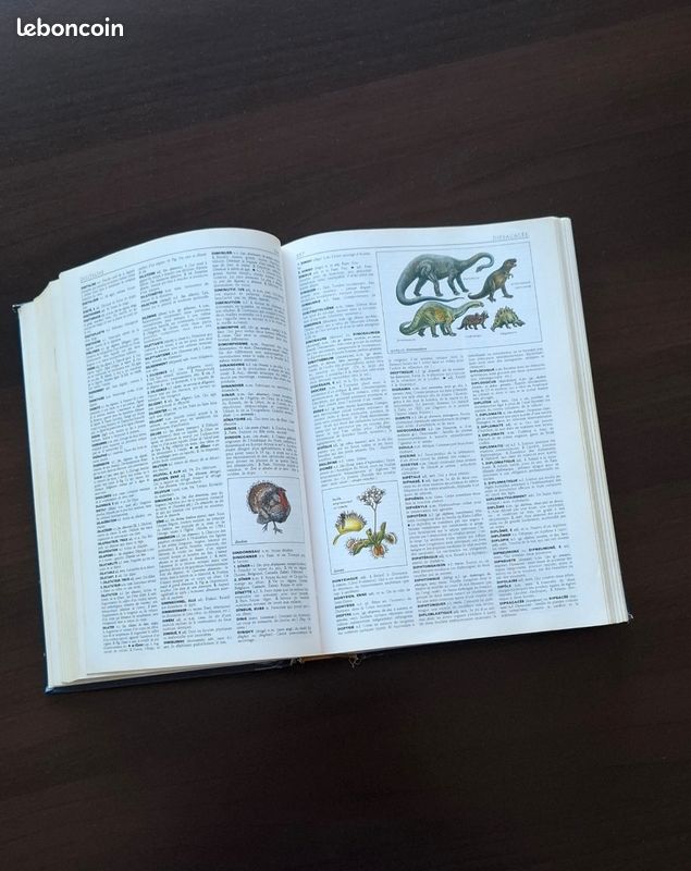 Dictionnaire Petit Larousse illustré (image 4)