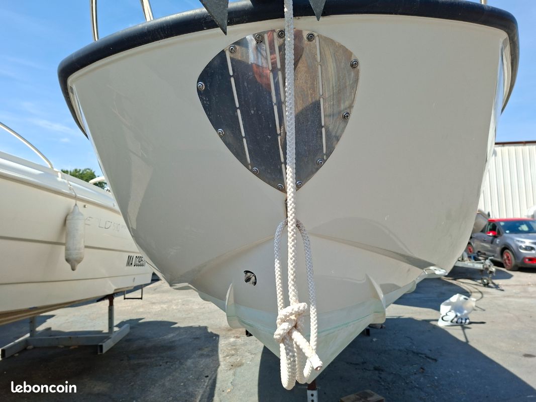 Quicksilver Activ 555 2019 avec remorque (image 2)