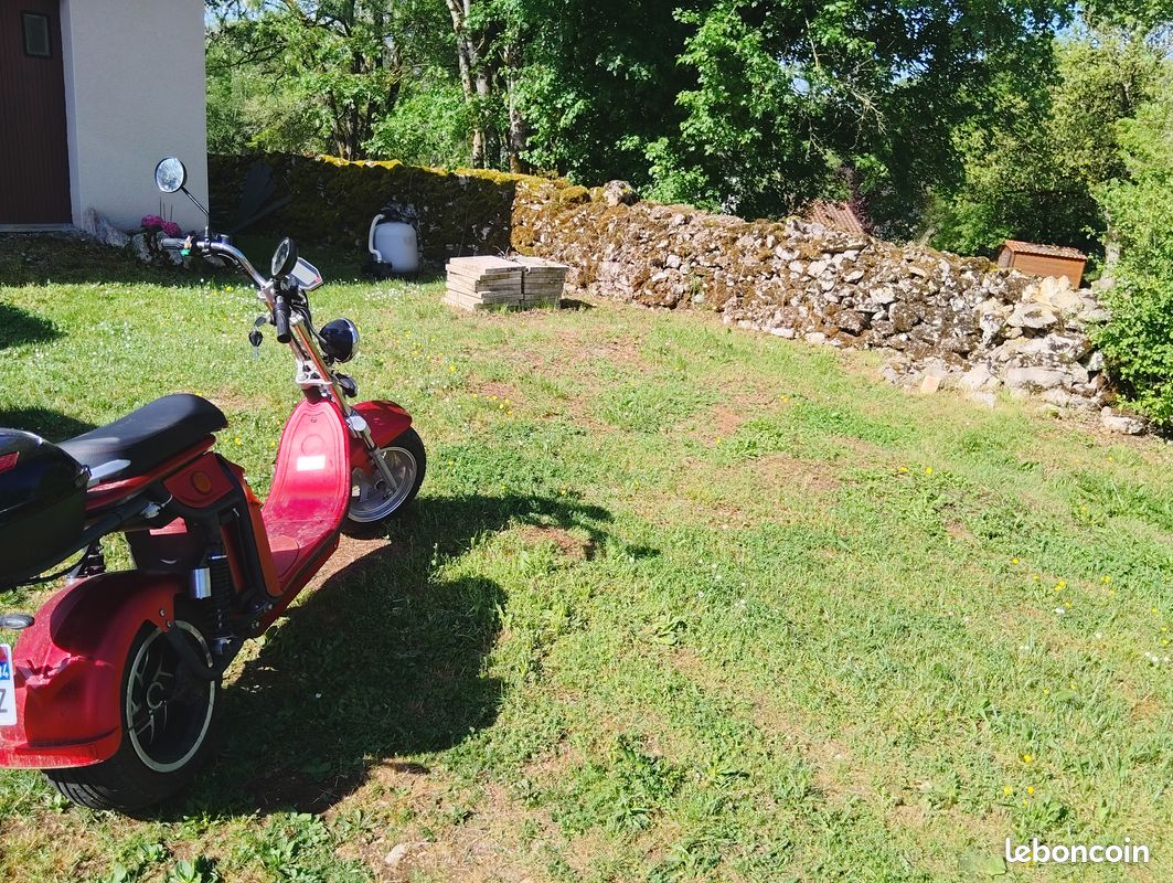 Trotinette électrique ou scooter électrique (image 3)