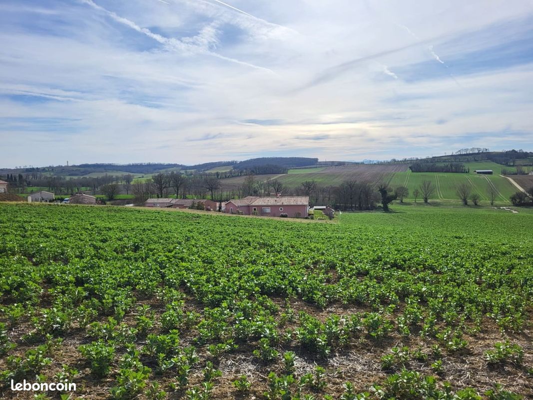 Terrain 1102 m² PUYCASQUIER · 30 000 €