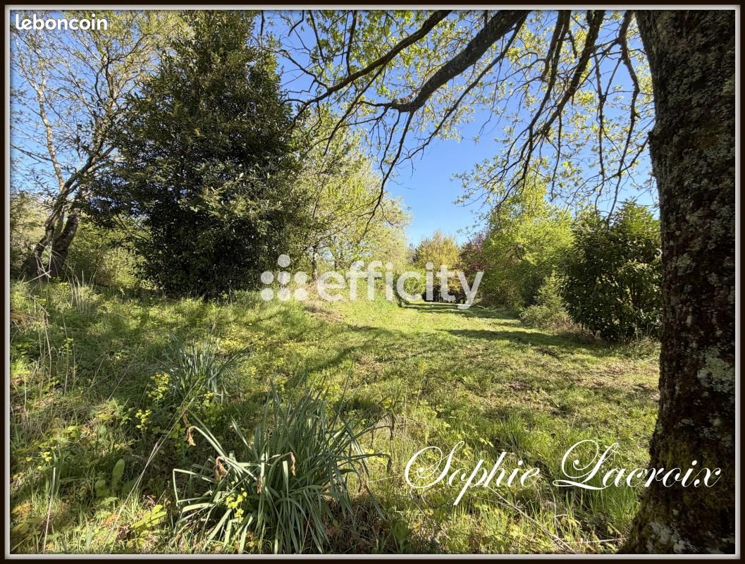 Ferme 7 pièces 180 m² (image 17)