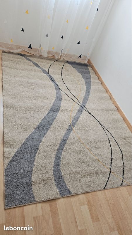 Tapis de salon (image 1)