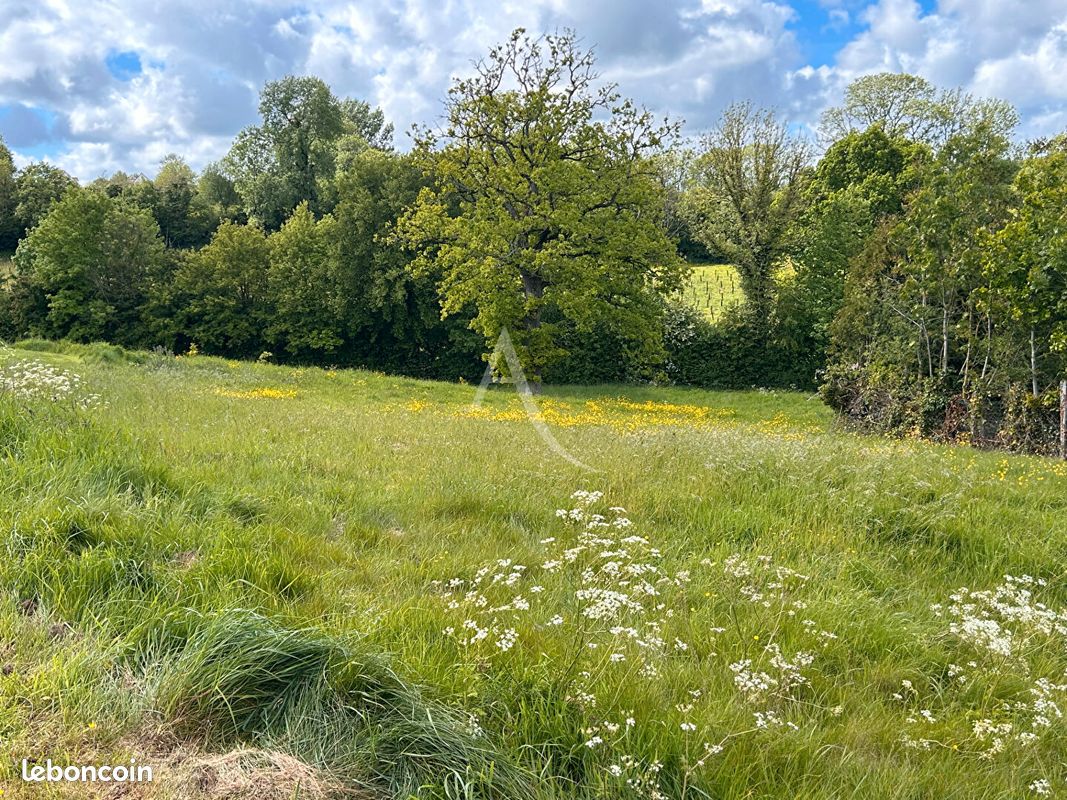 Terrain 1023 m² · à Preures · 1 023 m² · 37 500 €