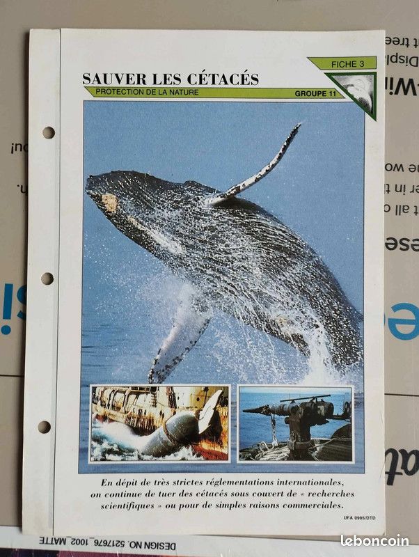 Fiche Documentaire - Sauver les cétacés (image 1)