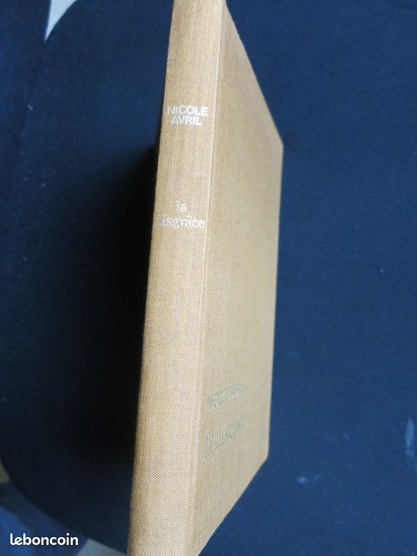 La Disgrâce - nicole avril (image 2)