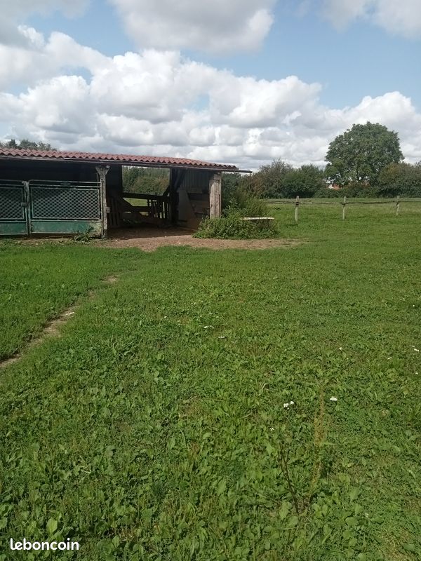 Fumier de cheval (image 1)