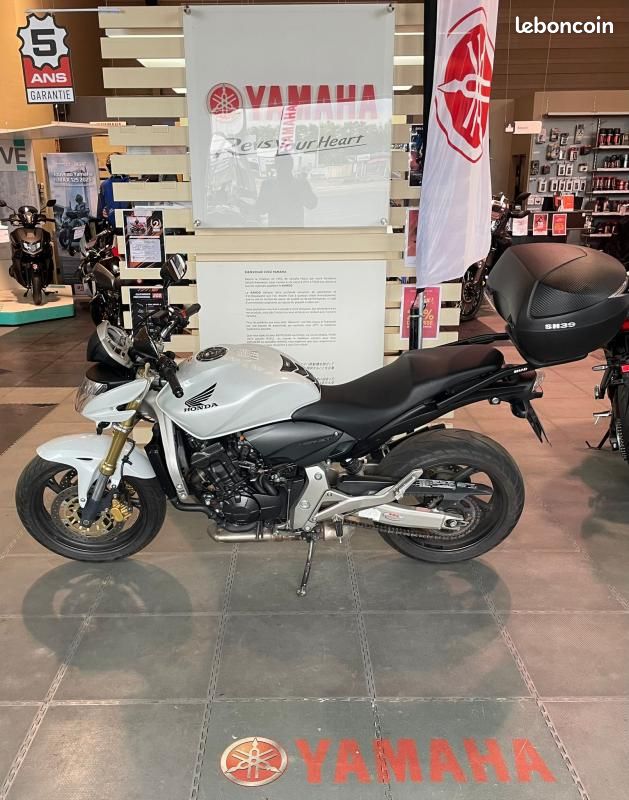 Honda CB 600 HORNET (image 4)