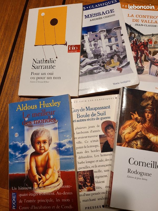 Lot de 10 livres pour collège ou Lycée, lot n°3 (image 2)