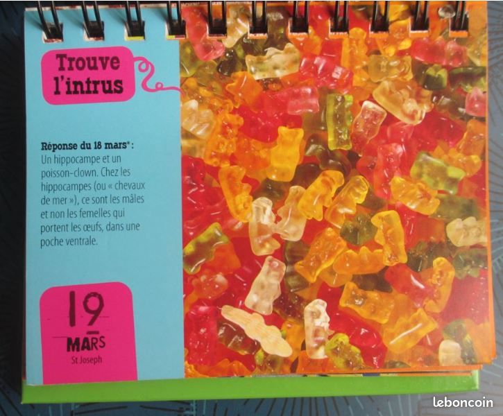 Un jour une photo Playbac (image 5)